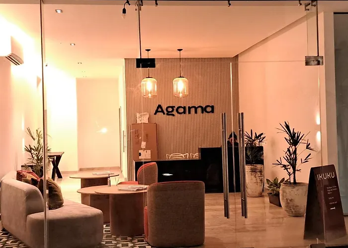 Agama * Playa del Carmen